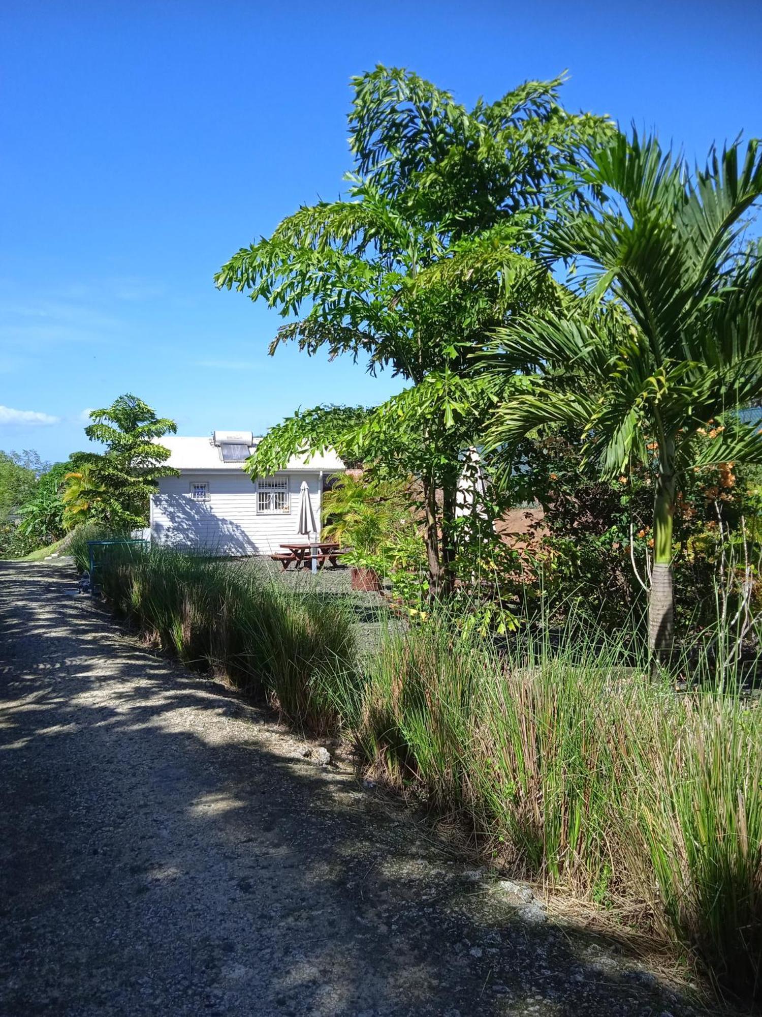Dadi'S Little Paradis Sainte-Rose Exterior photo
