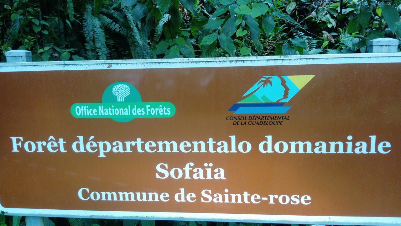 Dadi'S Little Paradis Sainte-Rose Exterior photo